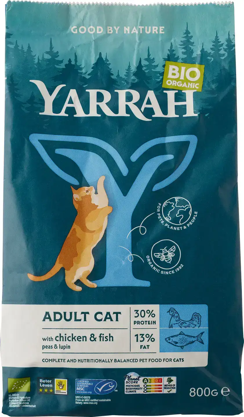 Kattenbrokken adult