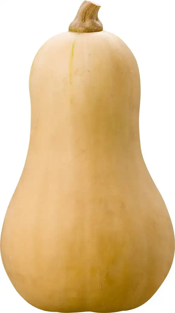 Butternut pompoen