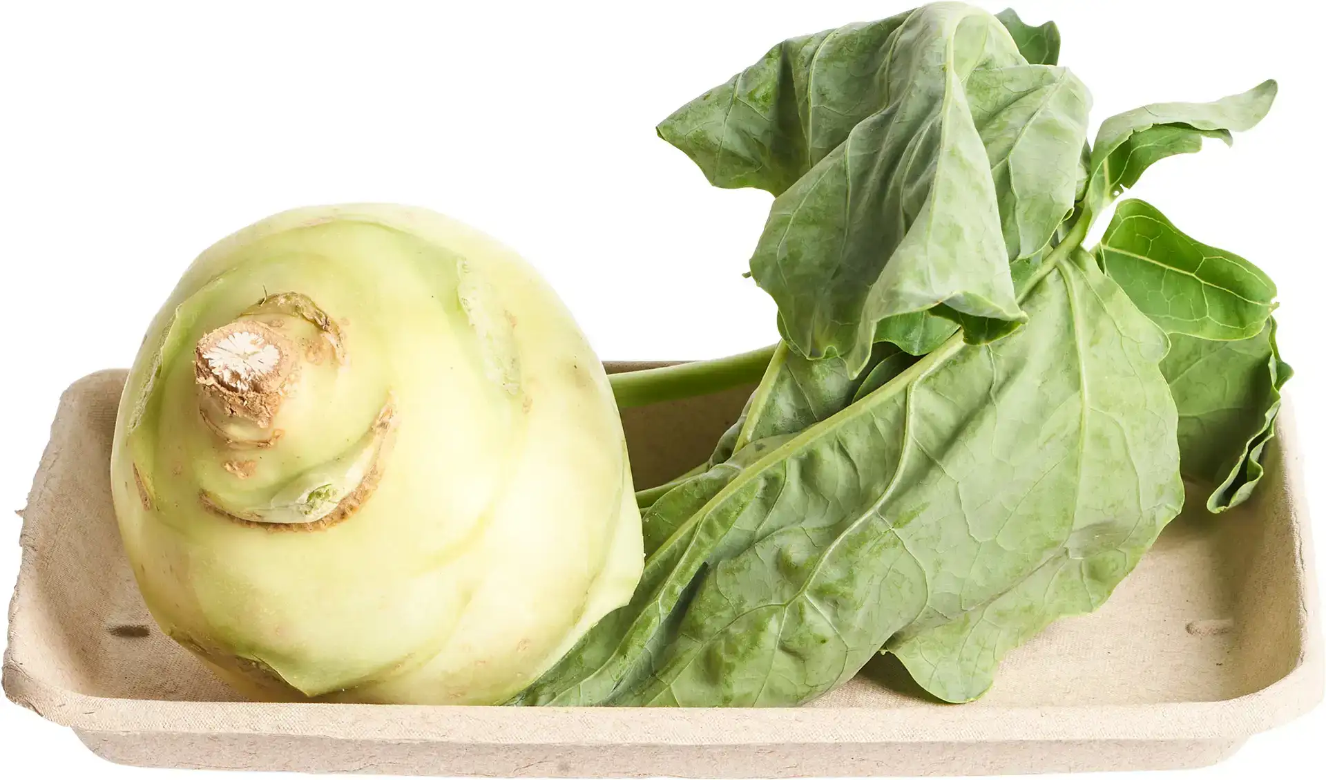 Koolrabi