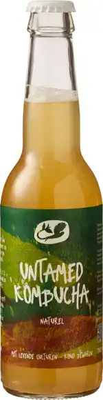 Kombucha naturel
