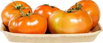 Vleestomaten