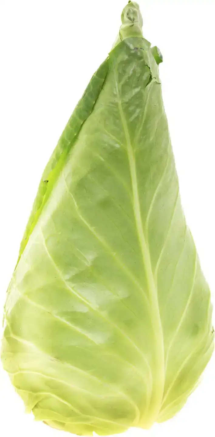 Spitskool